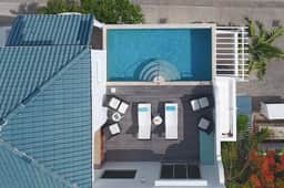 Blue Dove - Image 5