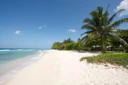 Palm Beach 110 - Image 4
