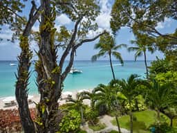 Coral Cove 8 – Life’s a Beach - Image 4