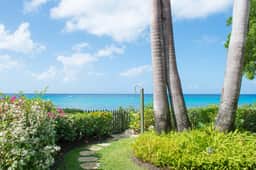 Mahogany Bay - Chanel No. 5 - Image 2