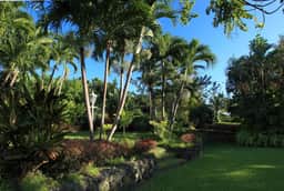 Sandy Lane - Vistamar - Image 5