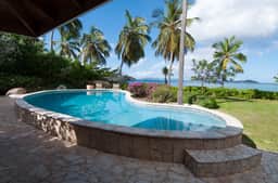 Sea Palms - Image 3