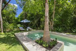 Palm Villa - Image 5