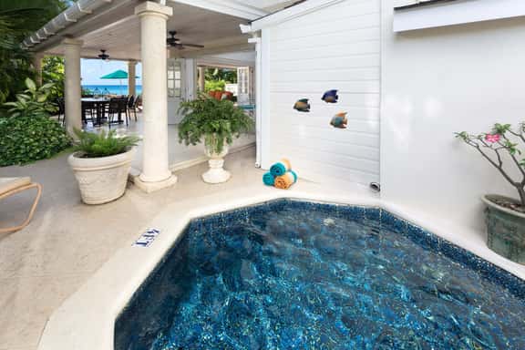 Mahogany Bay - Seashells - Image 1