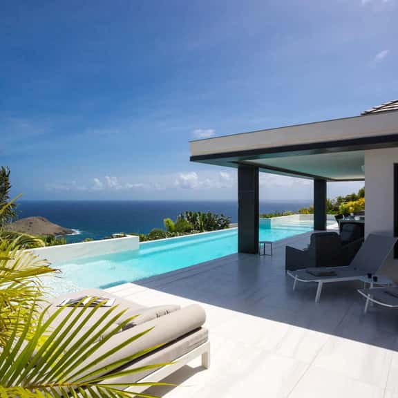 Villa Rose Dog - Image 1