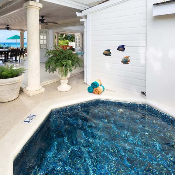 Mahogany Bay - Seashells - Image 1