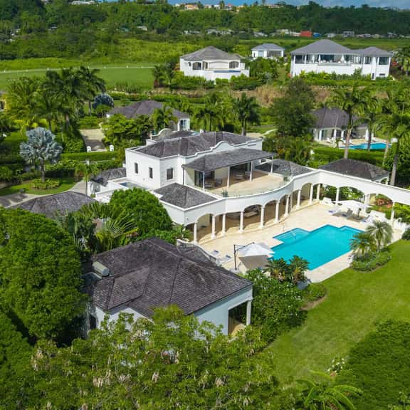 Monkey Manor - Image 1