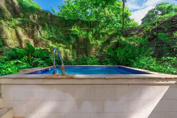Parnassus Cottage - Image 4