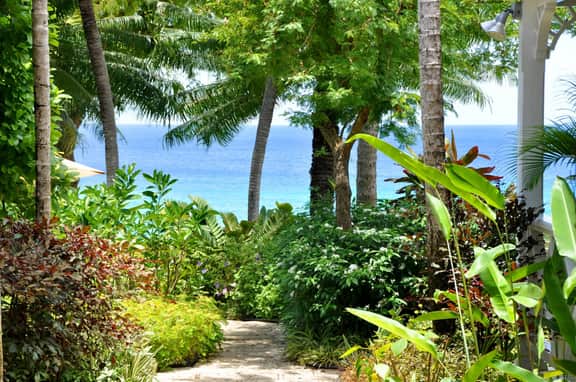 Secret Cove 1 - Image 4