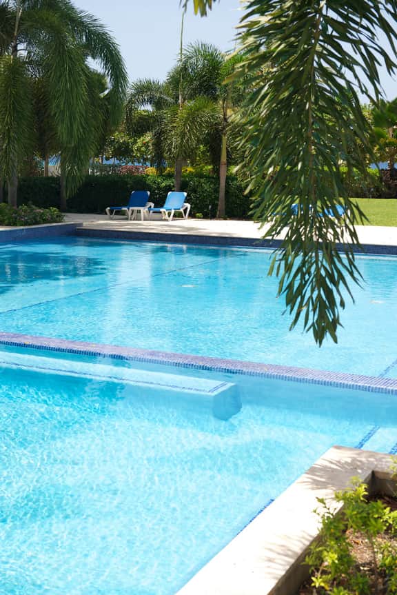 Palm Beach 110 - Image 2