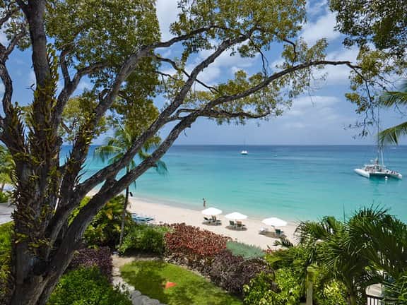 Coral Cove 8 – Life’s a Beach - Image 3