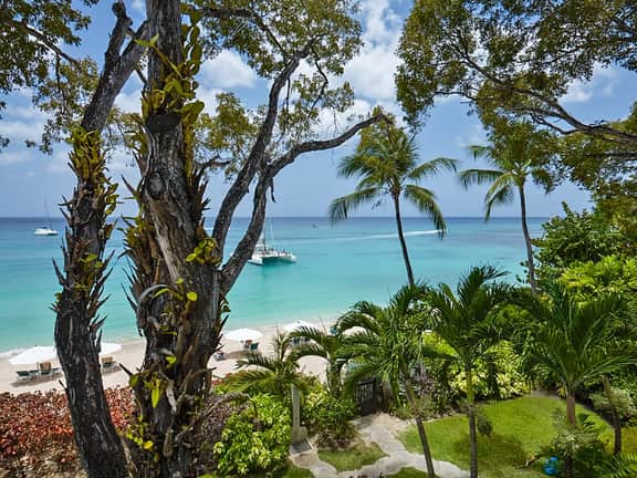 Coral Cove 8 – Life’s a Beach - Image 4