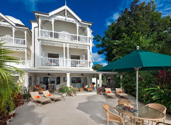 Mahogany Bay - Seashells - Image 5