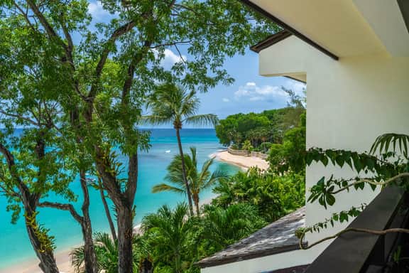 Coral Cove 10 - Image 2