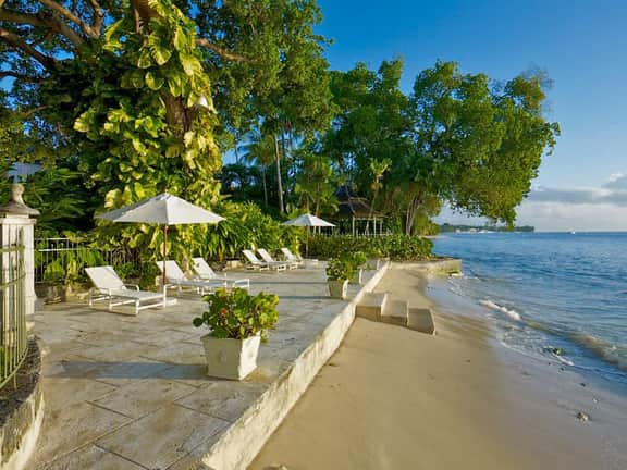 Mango Bay - Image 5