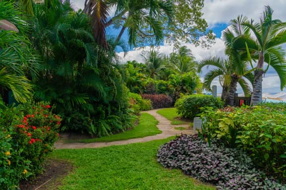 Coral Cove 9 – Beachi - Image 5