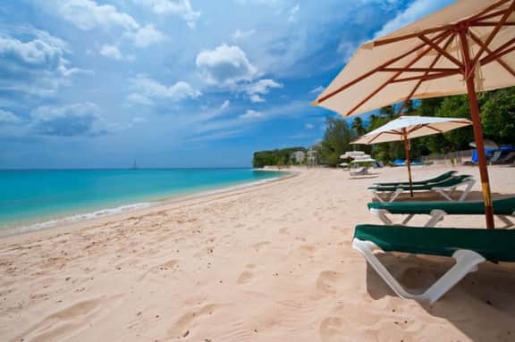 Coral Cove 15 - Image 2