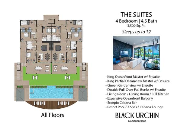 Coconut Grove Suite - Image 2